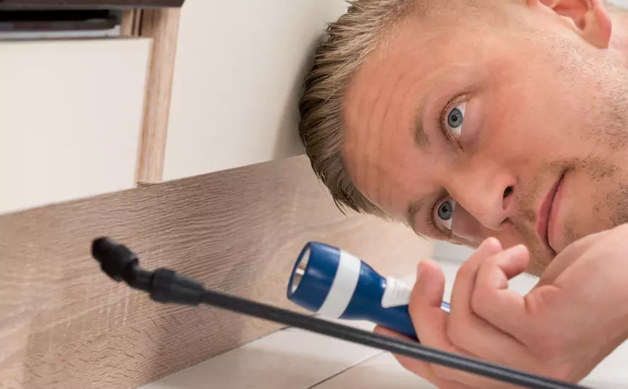 Top-Notch Pest Control in Katy