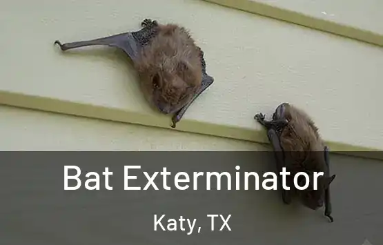  Bat Exterminator Katy, TX