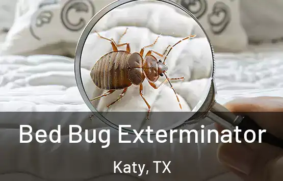  Bed Bug Exterminator Katy, TX