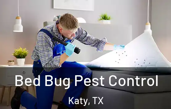  Bed Bug Pest Control Katy, TX