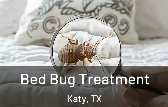  Bed Bug Treatment Katy, TX