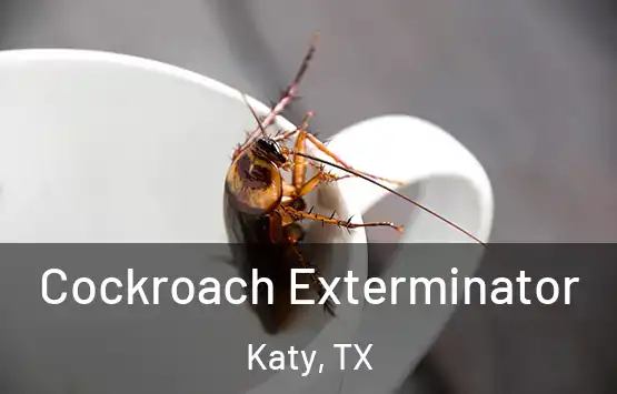  Cockroach Exterminator Katy, TX