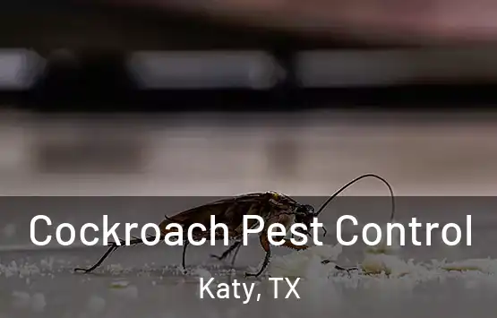  Cockroach Pest Control Katy, TX