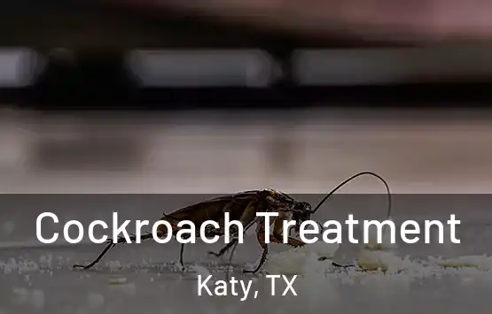  Cockroach Treatment Katy, TX