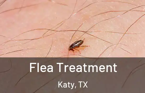  Flea Treatment Katy, TX