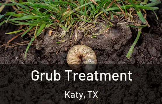  Grub Treatment Katy, TX