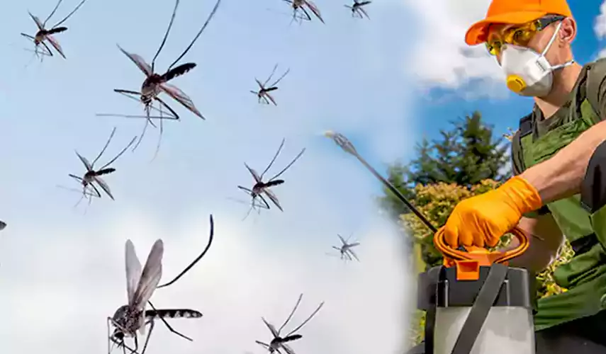 Mosquito Pest Control in Katy, TX