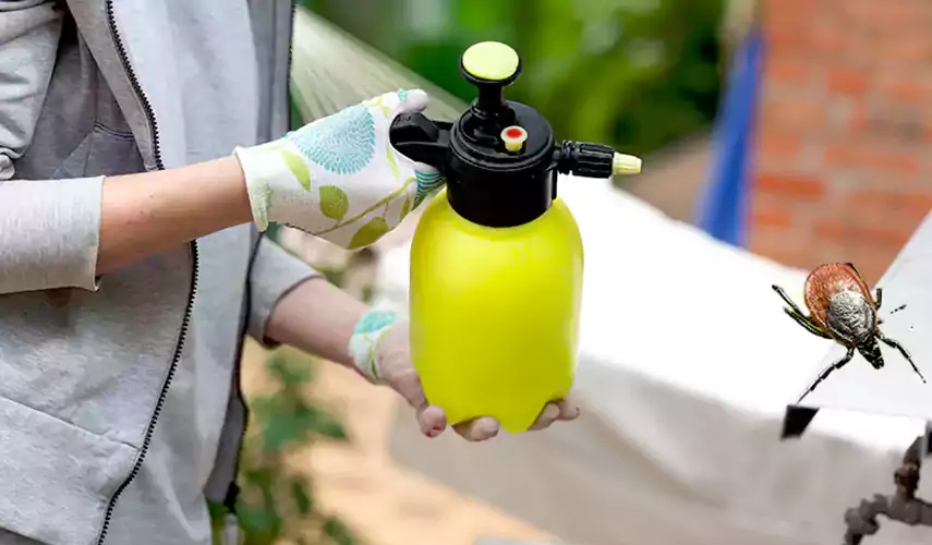 Ticks Pest Control Katy, Texas