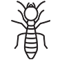 Termites Pest Control Katy, Texas