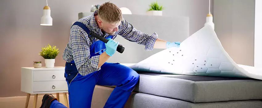 bed-bug-treatment in Katy, TX