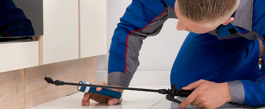 Commercial Pest Control for Offices in Katy, TX