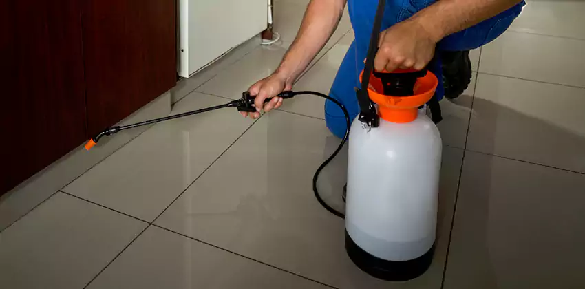 Commercial Pest Extermination for Offices in Katy, TX