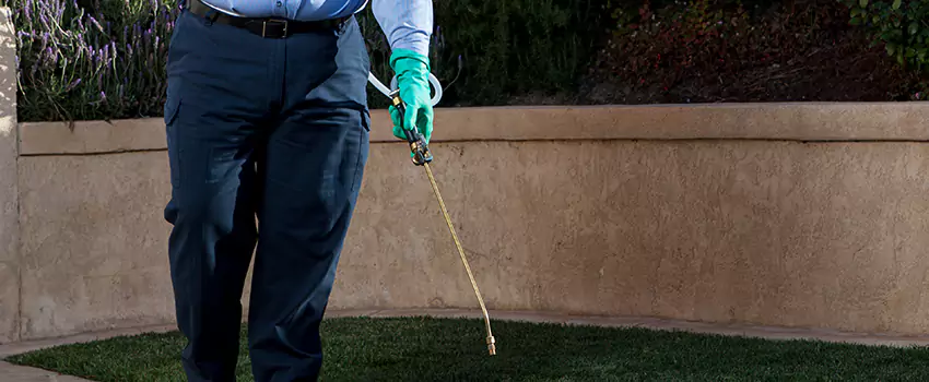 Emergency Pest Extermination for Children and Pets Katy, TX