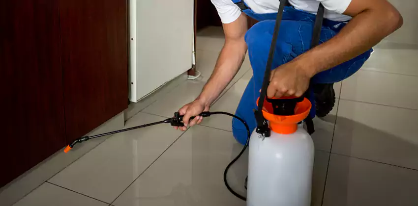 Commercial Flea Exterminator Company in Katy, TX