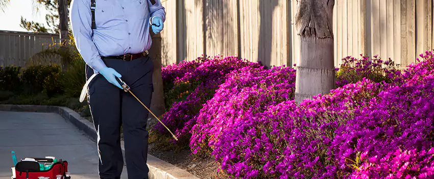 Commercial Mosquito Control Services in Katy, TX