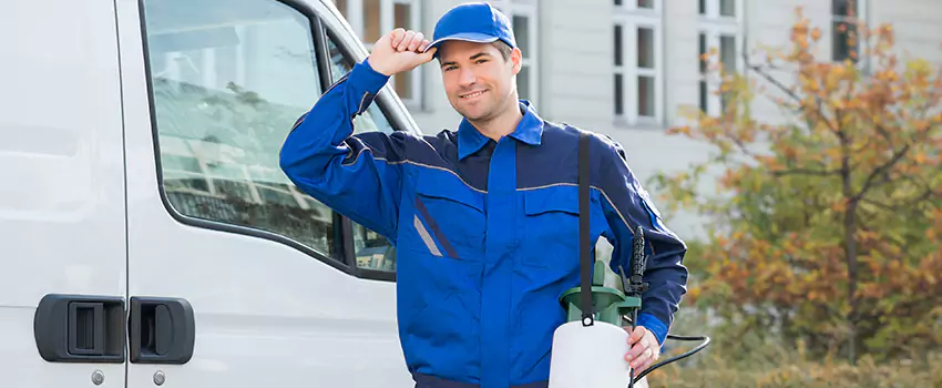 Organic and Chemical Spider Control Options Katy, TX