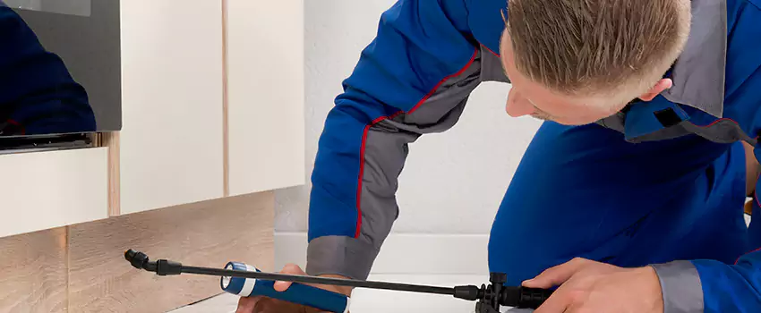 Termite Control for Children and Pets in Katy, TX