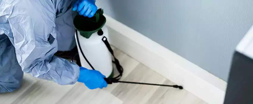 cockroach-exterminator in Katy, TX