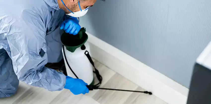 commercial-pest-exterminator in Katy, TX