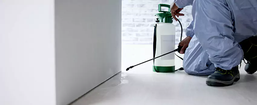 residential-pest in Katy, TX