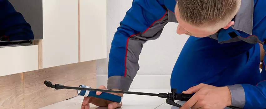 Pest Exterminator Company in Katy, TX