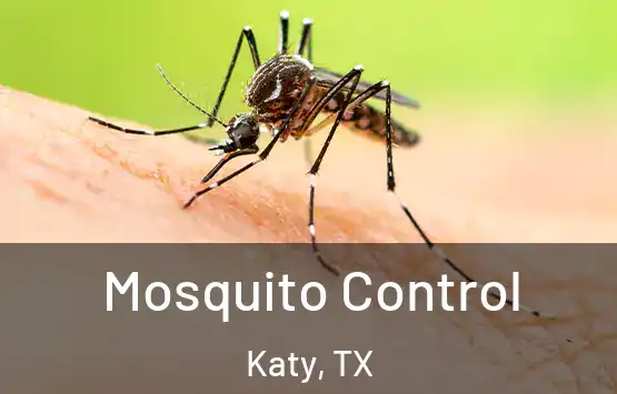  Mosquito Control Katy, TX