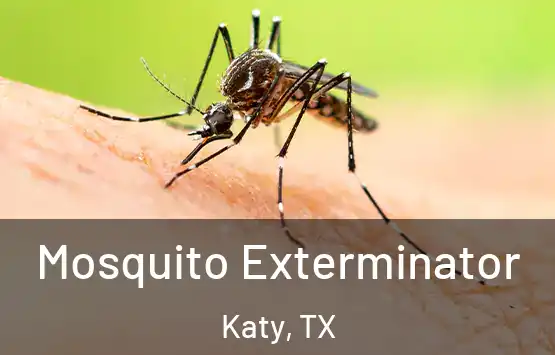  Mosquito Exterminator Katy, TX