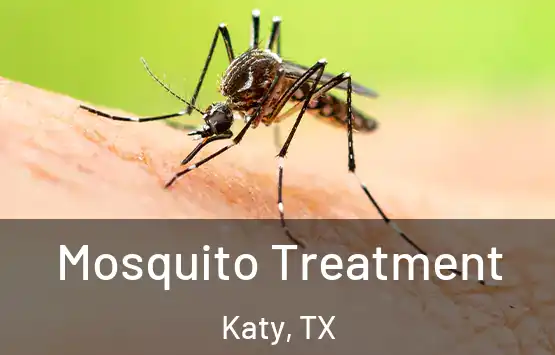  Mosquito Treatment Katy, TX