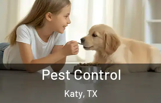 Pest Control Katy, TX