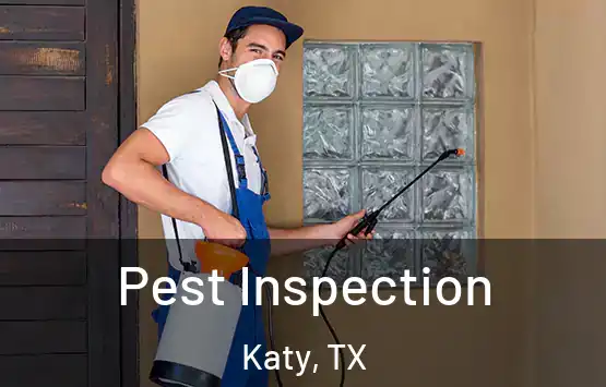  Pest Inspection Katy, TX