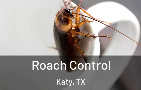 Roach Control Katy, TX