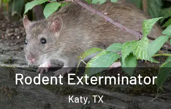  Rodent Exterminator Katy, TX