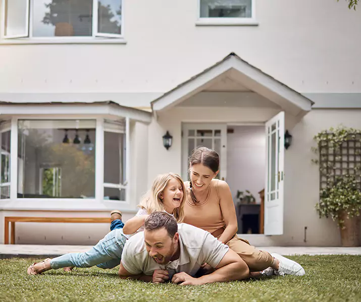 About Ant Control Katy