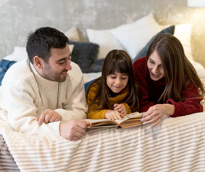 About Bed Bug Pest Control Katy