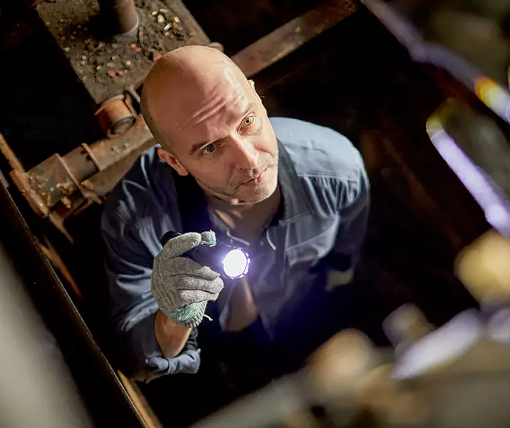 About Pest Inspection Katy