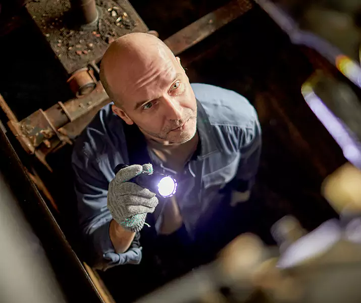 About Rat Inspection Katy