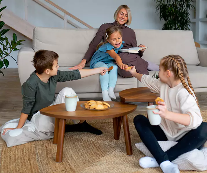 About Spider Exterminator Katy