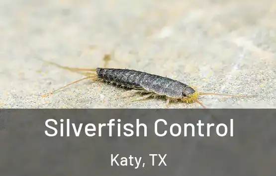  Silverfish Control Katy, TX