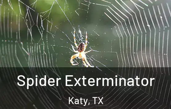  Spider Exterminator Katy, TX