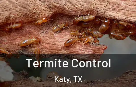  Termite Control Katy, TX