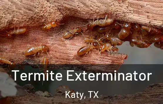  Termite Exterminator Katy, TX