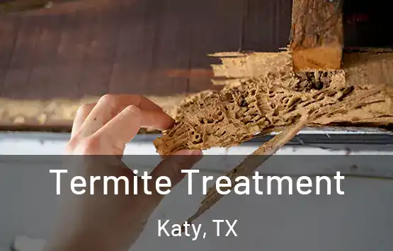  Termite Treatment Katy, TX
