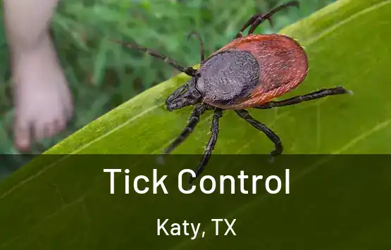  Tick Control Katy, TX