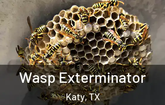  Wasp Exterminator Katy, TX