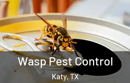  Wasp Pest Control Katy, TX