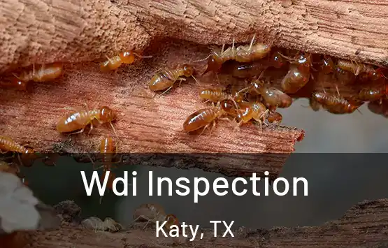  Wdi Inspection Katy, TX