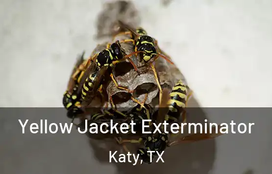  Yellow Jacket Exterminator Katy, TX